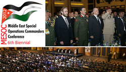 MESOC 2012